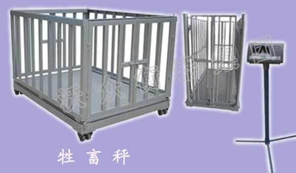 �����I���ó�